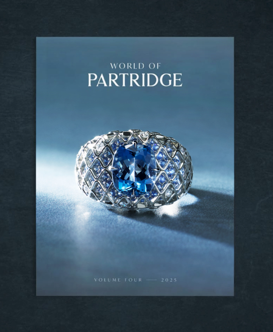 Screenshot 2026-03-13 at 12.26.32 PM.jpg